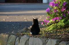 こっち向いて！