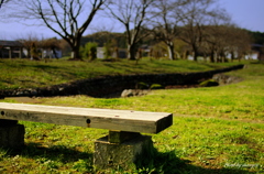 Bench