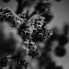 春、ここに…