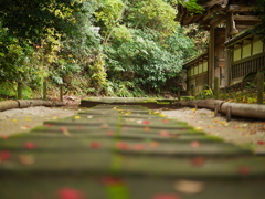 門へと続く紅