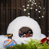 勝山のお雛祭りにて　その１