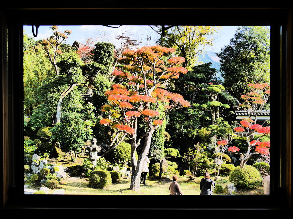 絵画のような風景‐石谷家住宅庭園