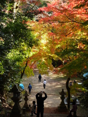 紅葉を撮影する人を撮影