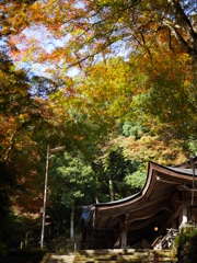 下から見上げる‐諏訪神社