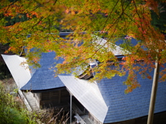 上から見下ろす‐諏訪神社