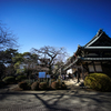 豪徳寺