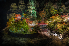 青森黒石　中野もみじ山夜景