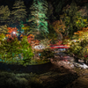 青森黒石　中野もみじ山夜景