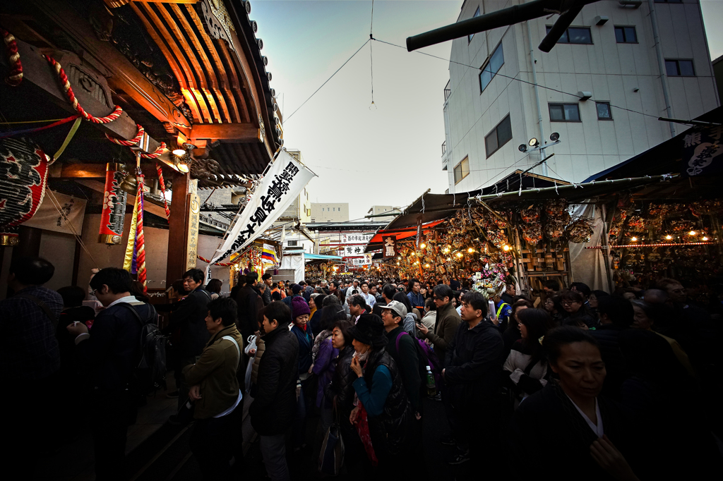 酉の市