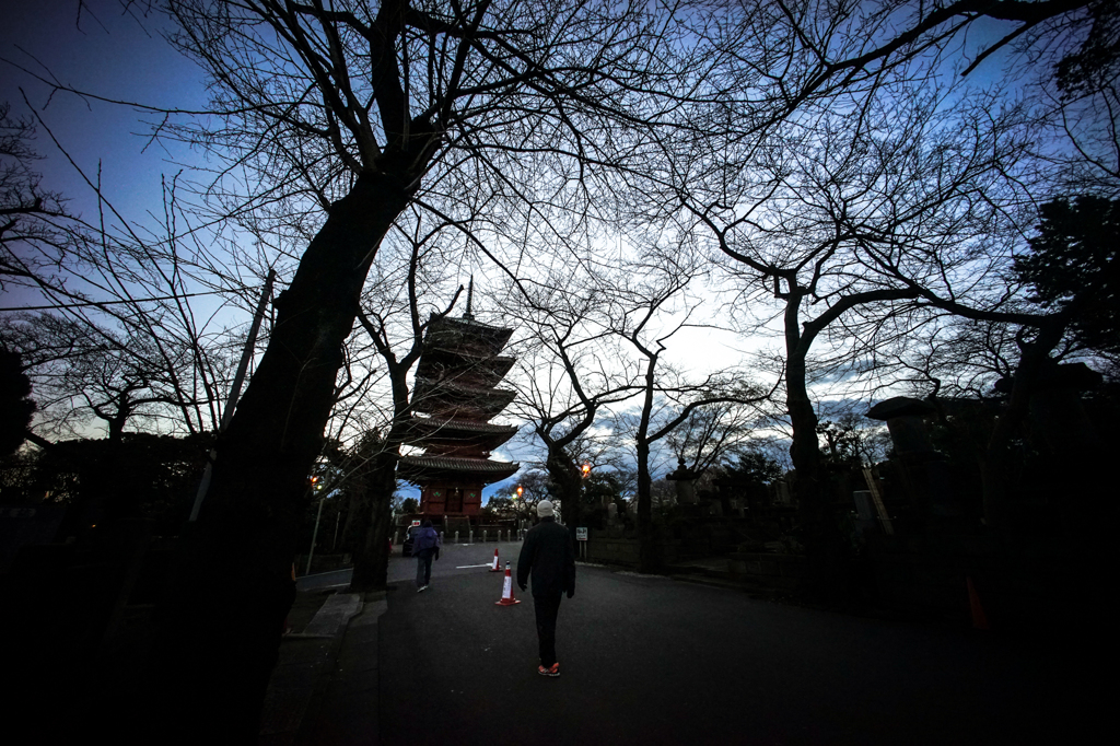 元旦早朝散歩