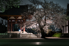 夜明け前の本門寺