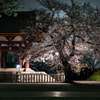 夜明け前の本門寺