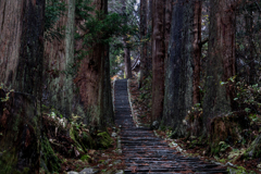 羽黒山参道