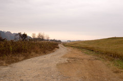DSC_2316