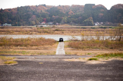 黒い車