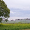 ひたちなか海浜公園
