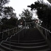 船橋大神宮