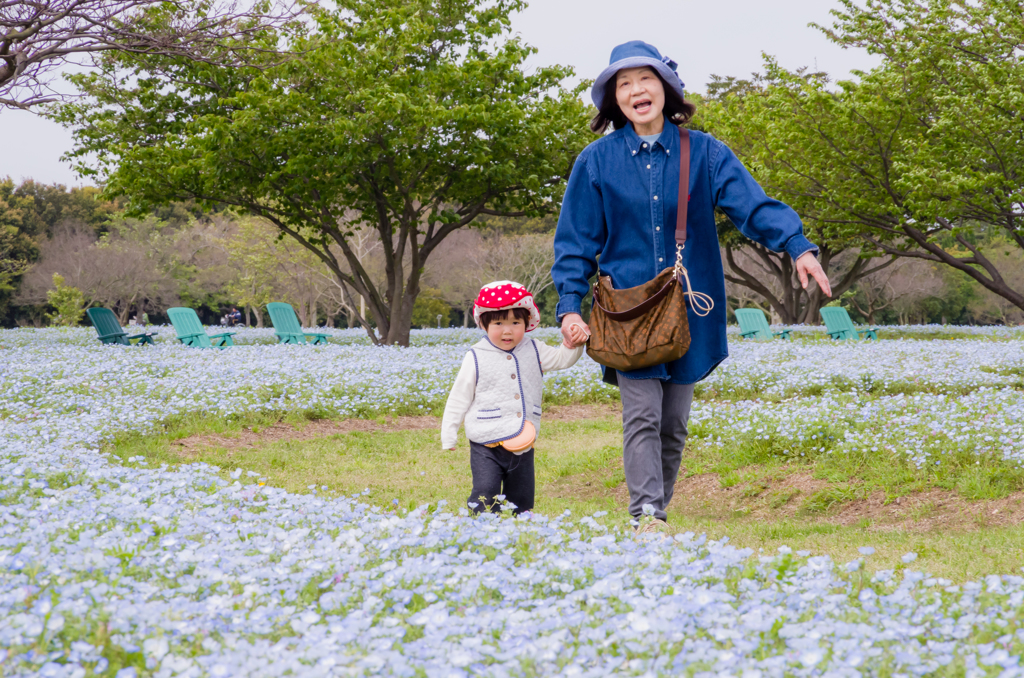 お花畑の孫とばば２