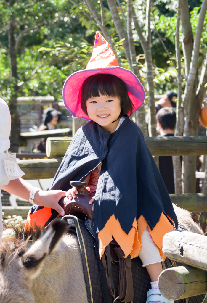 ハロウィン乗馬