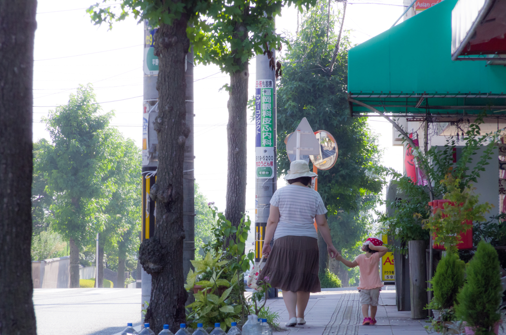 夏の朝さんぽ