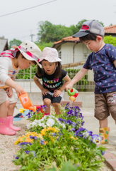 お花に水やり