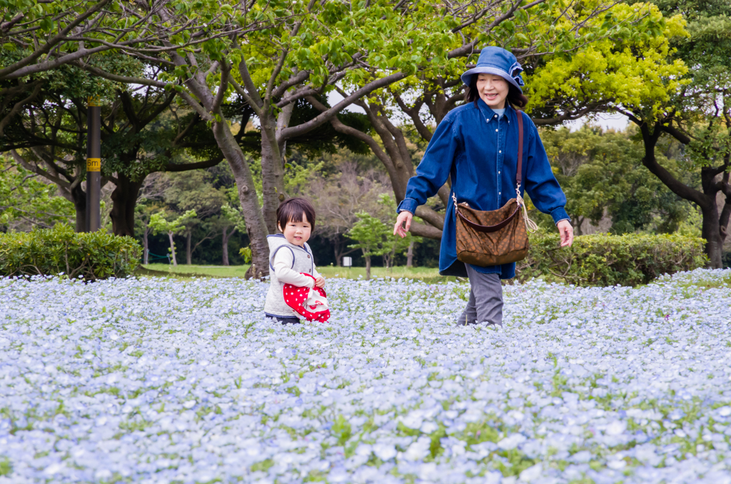 お花畑の孫とばば１