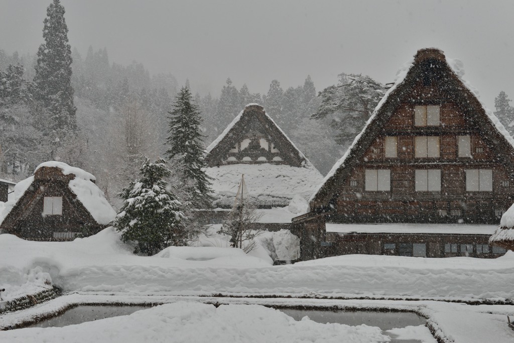 雪景色　大・中・小