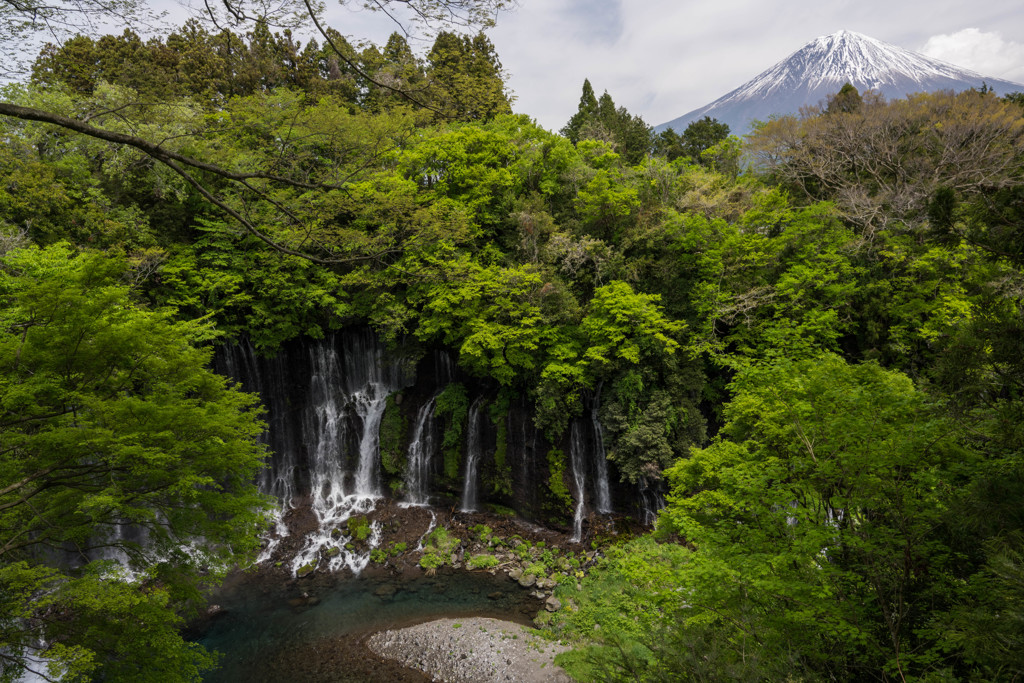 新緑の滝と富士