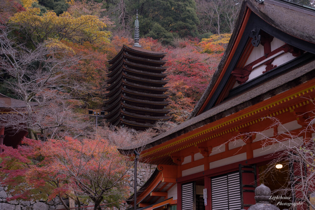 秋の談山神社