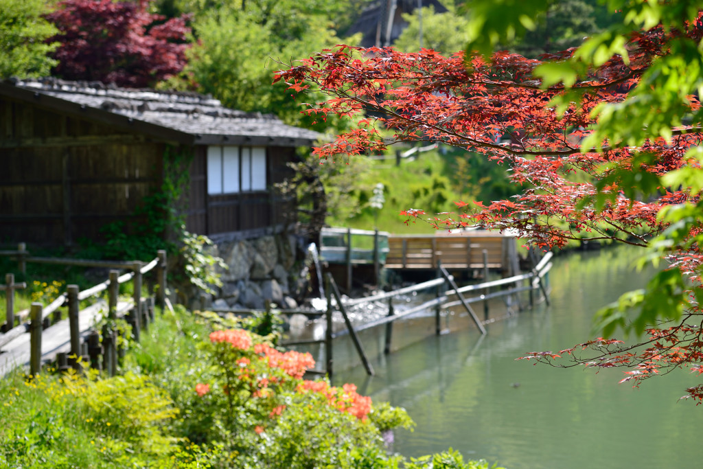 わらび粉小屋