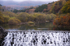 水鳥の楽園