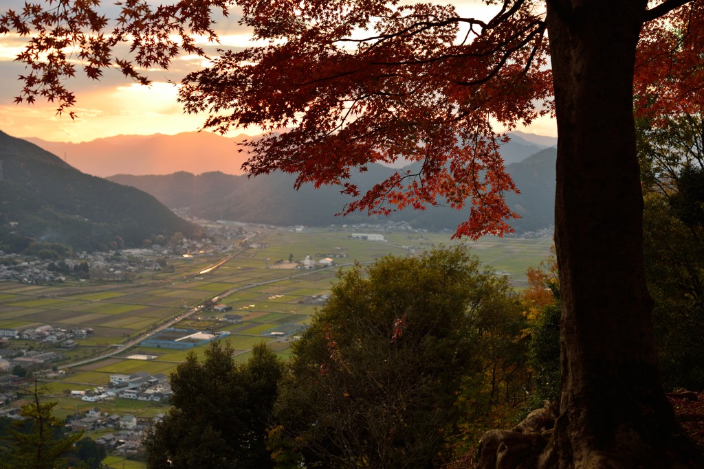 思いを馳せて・・・　　黒井城跡