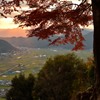 思いを馳せて・・・　　黒井城跡