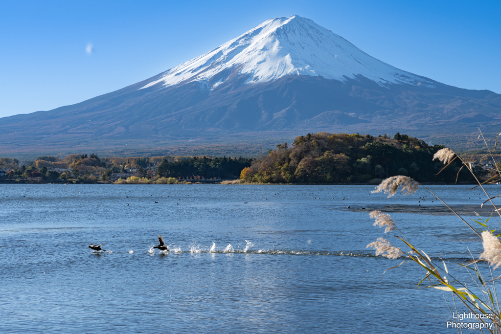 河口湖の富士