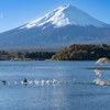 河口湖の富士