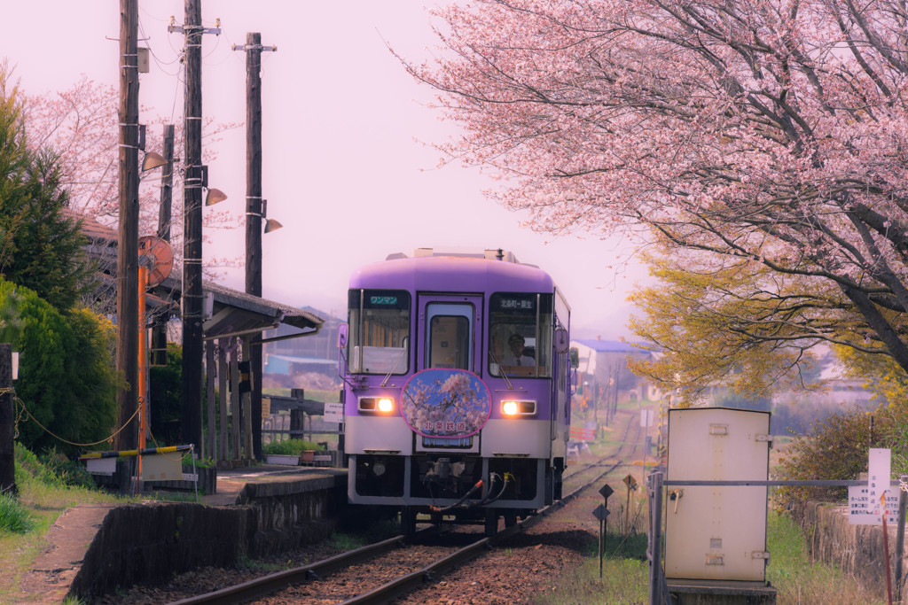 春の北条鉄道