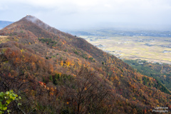 錦秋の山