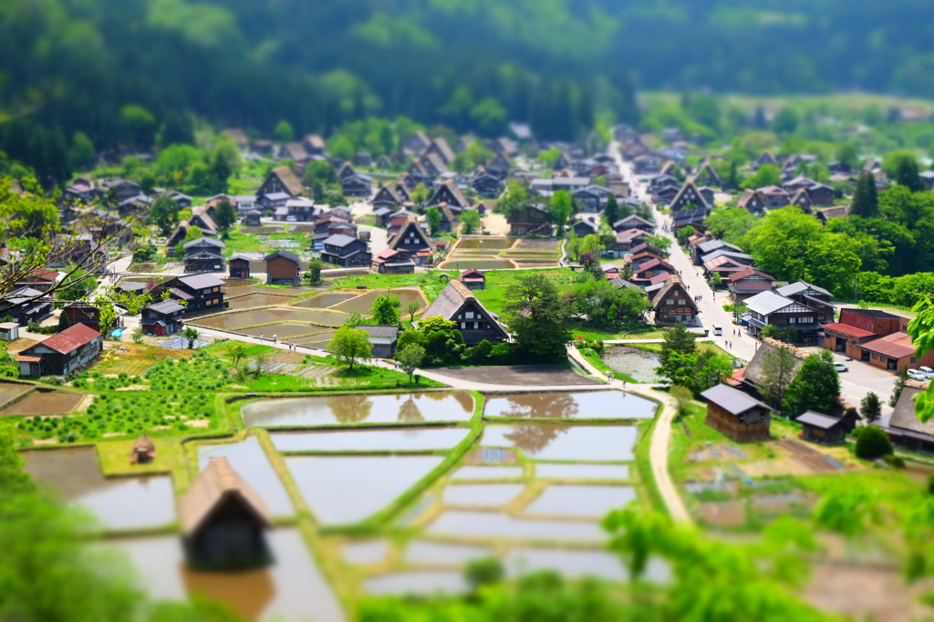 五月の白川郷