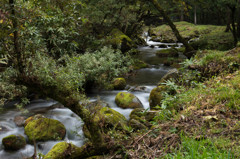 元滝川～秋の瀬音