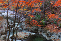 中津川渓谷～秋