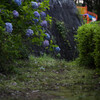 雨上がりの公園