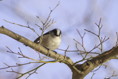君、可愛いね～