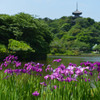 三渓園