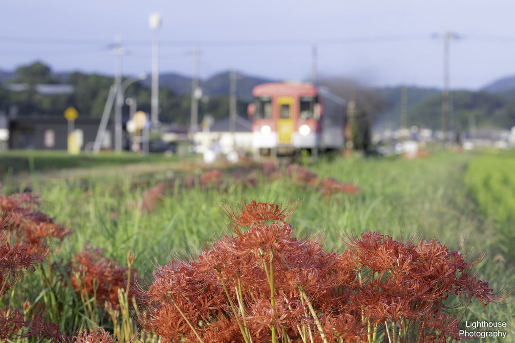 秋の北条鉄道