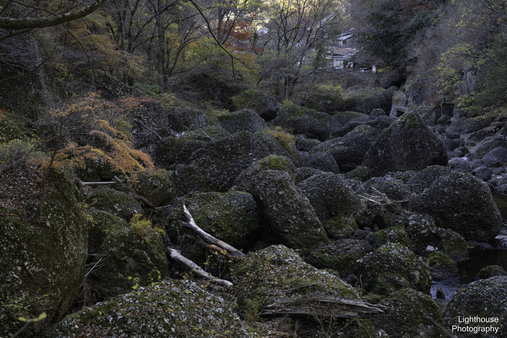 紅葉とゴロゴロ石