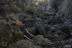 紅葉とゴロゴロ石