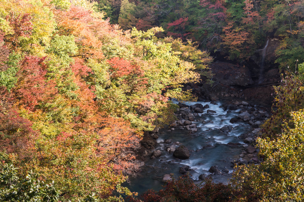 秋の松川渓谷