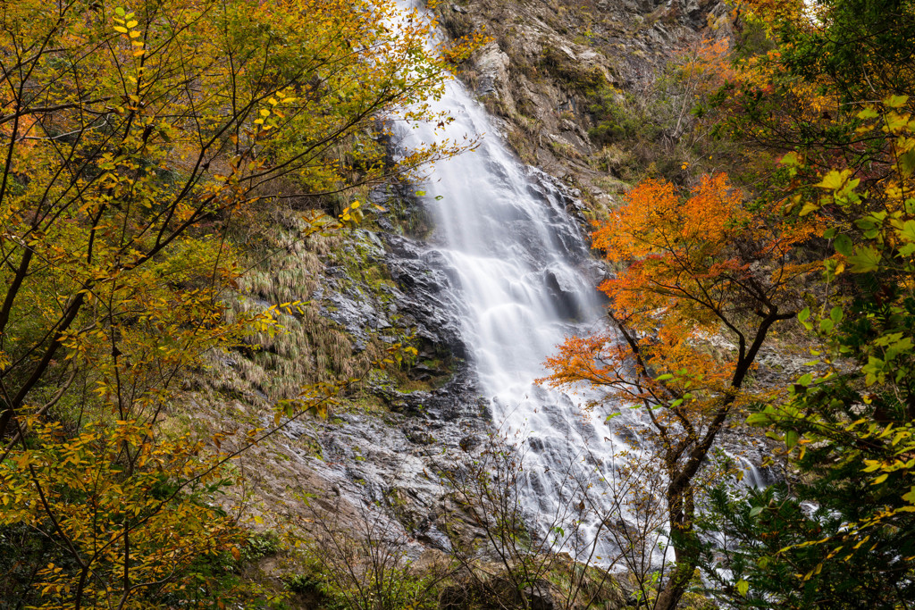 天滝の秋