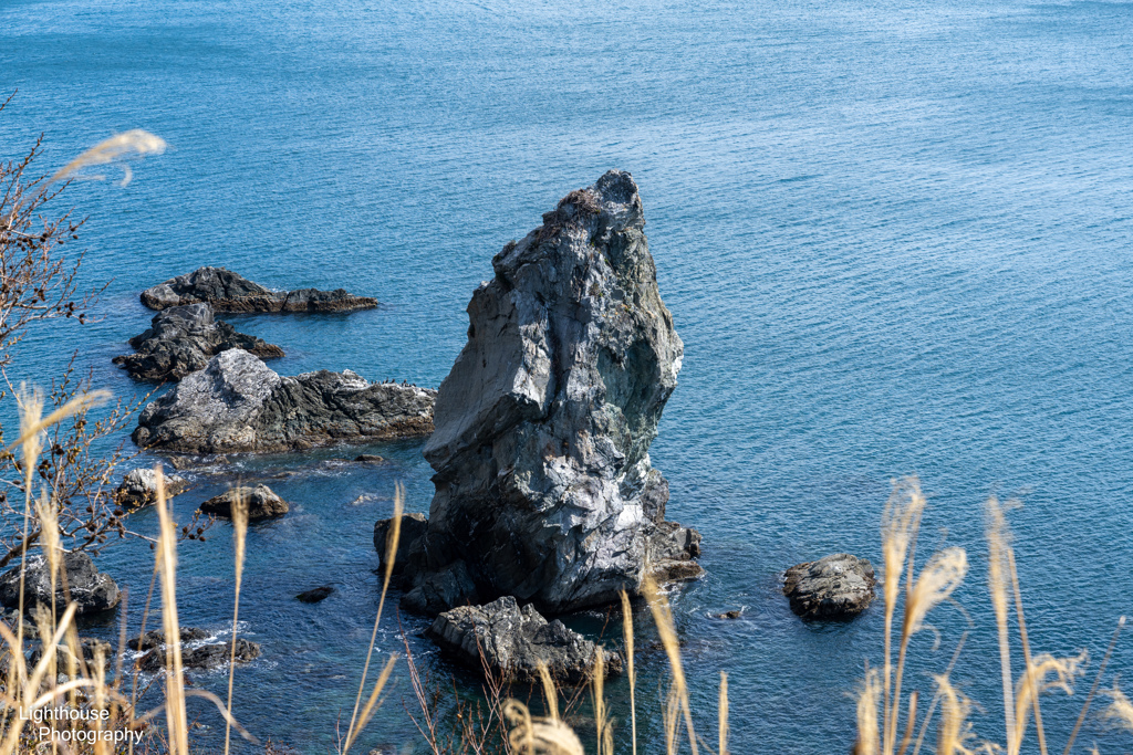 沼島の愛