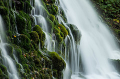 元滝伏流水～溢れ出る